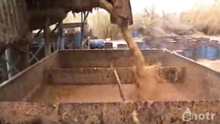 There's A Lesson To Be Learned When Transporting Hot Pig Slop